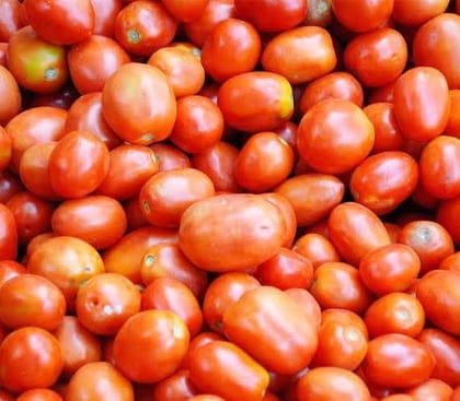 c grade Tomato