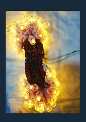 Handmade Indian String Lights LedDiya 100 Bulb - 16 Meters Braided 3 Way