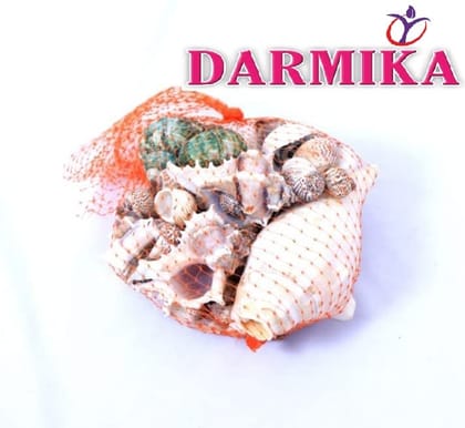 Darmika Seashell Handcrafted - Seashell for Aquarium | fish tank | art craft from Rameswaram 1 bag