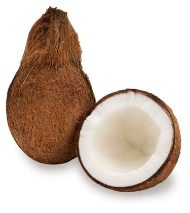 DARMIAK Coconut, Medium, Pc (1)
