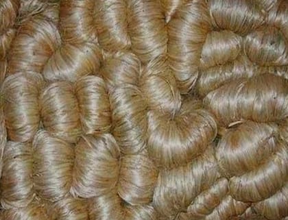 Jute