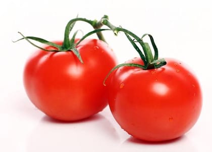 Tomato Fresh