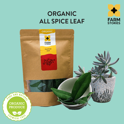 Organic All Spice Leaf