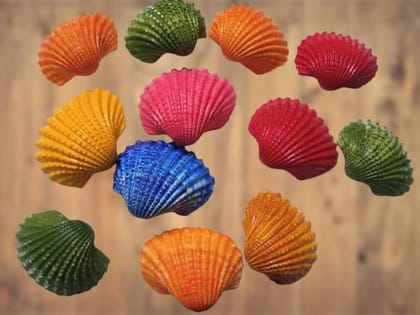 Darmika Decoration Aquariums Color sea Shell | Resin | Art | Crafts | Table Decoration (Multicolor) Items for Kids and Adults School, Home, Birthday Gifts and Return Gift Ideas