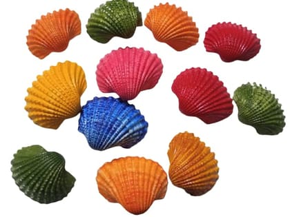 Darmika Decoration Aquariums Color sea Shell | Resin | Art | Crafts | Table Decoration (Multicolor) Items for Kids and Adults School, Home, Birthday Gifts and Return Gift Ideas