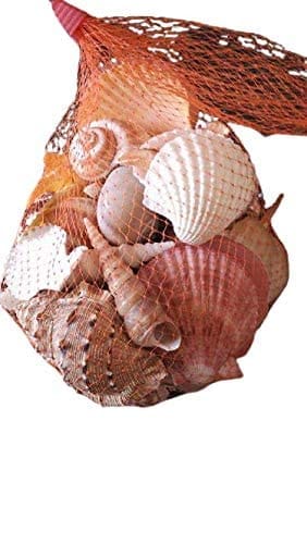 Darmika Seashell Handcrafted - Seashell for Aquarium | fish tank | art craft from Rameswaram 1 bag - Pooja Needs | Buy online on ZillyBuy