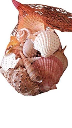 Darmika Seashell Handcrafted - Seashell for Aquarium | fish tank | art craft from Rameswaram 1 bag