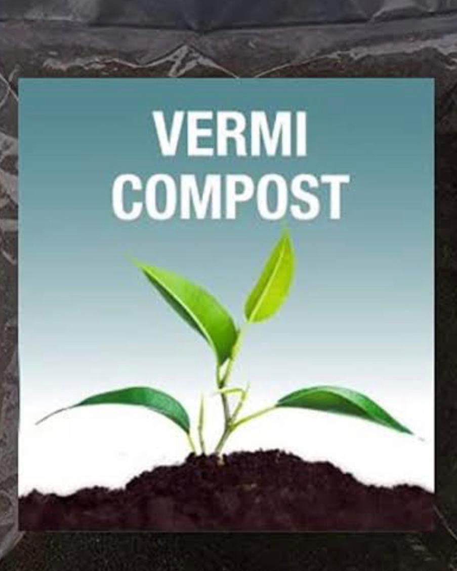 Organic vermi compost