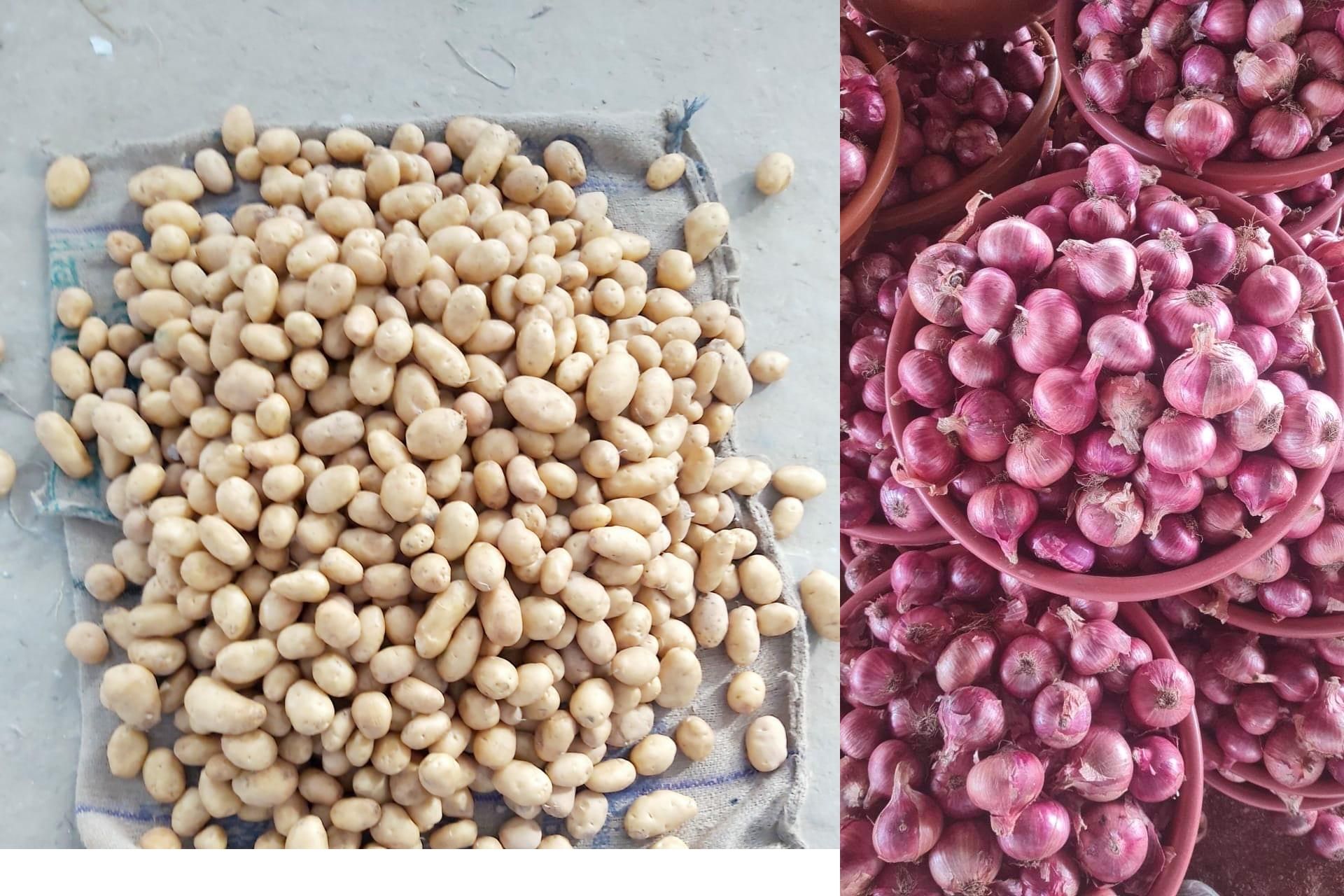 Combo Pack Onion 5kg and Potato ( Sugar free chipsona )5 kg