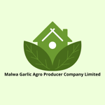 Malwa Garlic Agro Producer Company Limited