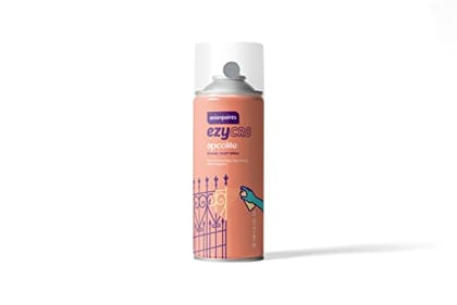 Asian Paints ezyCR8 Apcolite Enamel Multi-Surface DIY Spray Paint for Metal, Wood, Wall (Matt Grey, 400ml)
