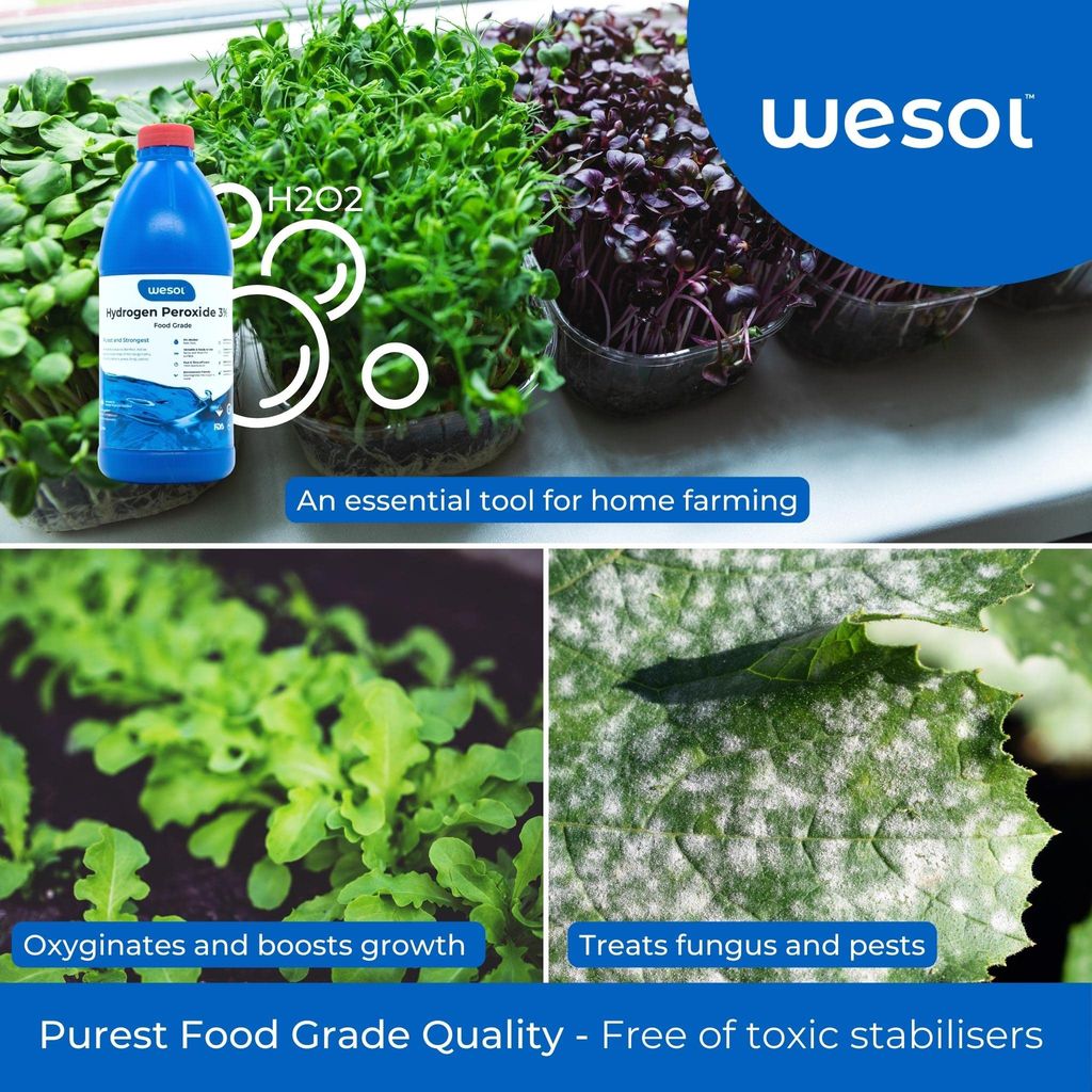 Wesol Hydrogen Peroxide 3% Food Grade Multi-Use Disinfectant |Kills 99.9% Germs & Viruses | 1 Litre (Pack of 2)-Best For Cleaning, General disinfection, deodorising, Hydroponics, Food production unit