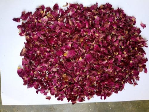 Latin for 2025 petal
