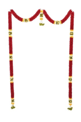 Daedal crafters- Mini Thoma (Maroon)