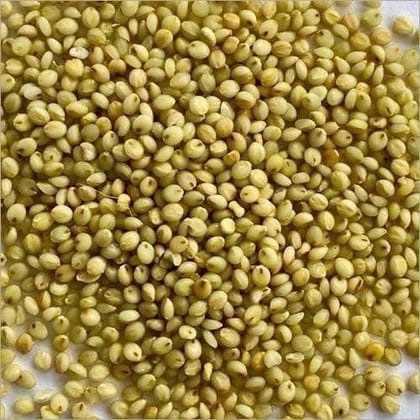 PMW - Brown Top Millets - Korle - Andu Korralu - Millets - 500 Grams