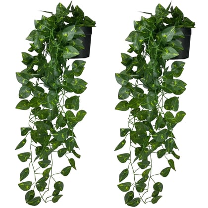 Tdas Artificial Plants with Pot Leaves Hanging Ivy Garlands Plant Greenery Vine Creeper Home Decor Door Wall Balcony Decoration Party Festival Craft (2 Pcs Money Plants)