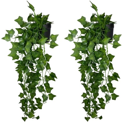 Tdas Artificial Plants with Pot Leaves Hanging Ivy Garlands Plant Greenery Vine Creeper Home Decor Door Wall Balcony Decoration Party Festival Craft (2 Pcs Ivy Plants)