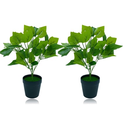 Tdas Artificial Plant with Pot for Home Decor Items Decoration Decorative Plants Flower Items for Living Room Balcony Hall Bedroom Office Outdoor Indoor - 33 cm, Two Pieces (Design3)