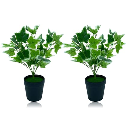 Tdas Artificial Plant with Pot for Home Decor Items Decoration Decorative Plants Flower Items for Living Room Balcony Hall Bedroom Office Outdoor Indoor - 33 cm, Two Pieces (Design5)
