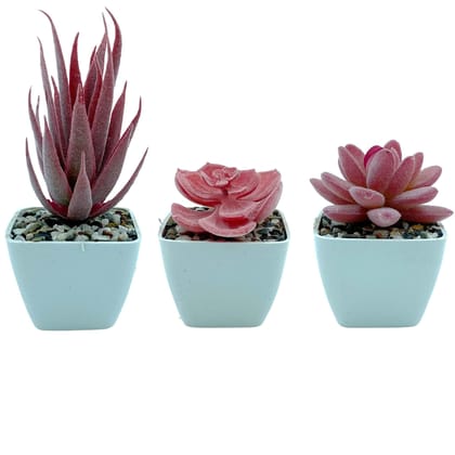 Tdas Artificial Succulent Plants Flowers Home Decor Items Plant Leaves for Living Room Hall Decorative Decoration Office in Pot (Pink, 3 Pcs)