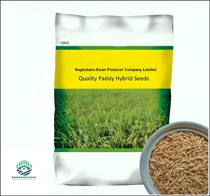 Paddy Hybrid Seeds, 10 kg