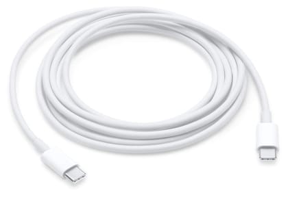 Apple C to C cable