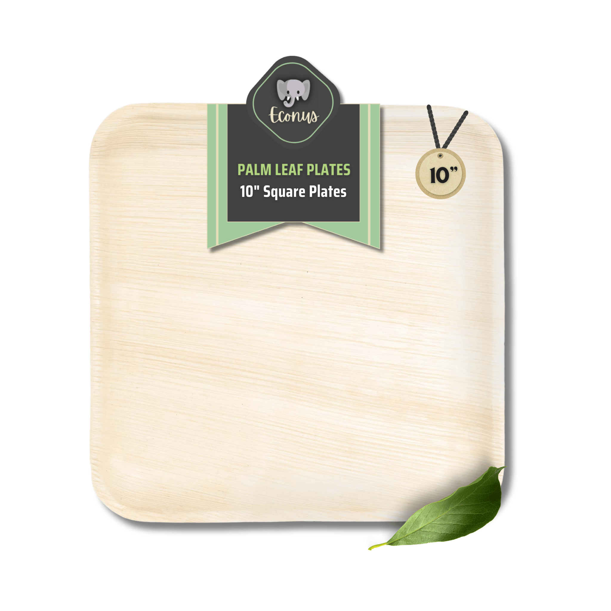 ECONUS [10 Inch, 25-Pack Palm Leaf Square Plates | Disposable Eco-Friendly Biodegradable Like Bamboo Plates | Party, Wedding, Event Plates