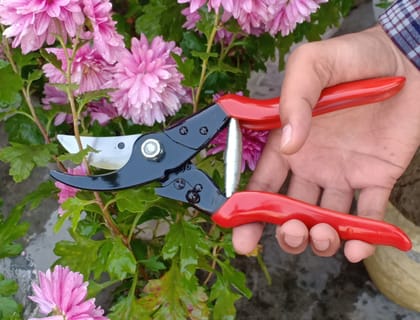 Major And Big Trowel Garden Tool Kit (2 Tools) Major And Big Trowel Garden Tool Kit (2 Tools)