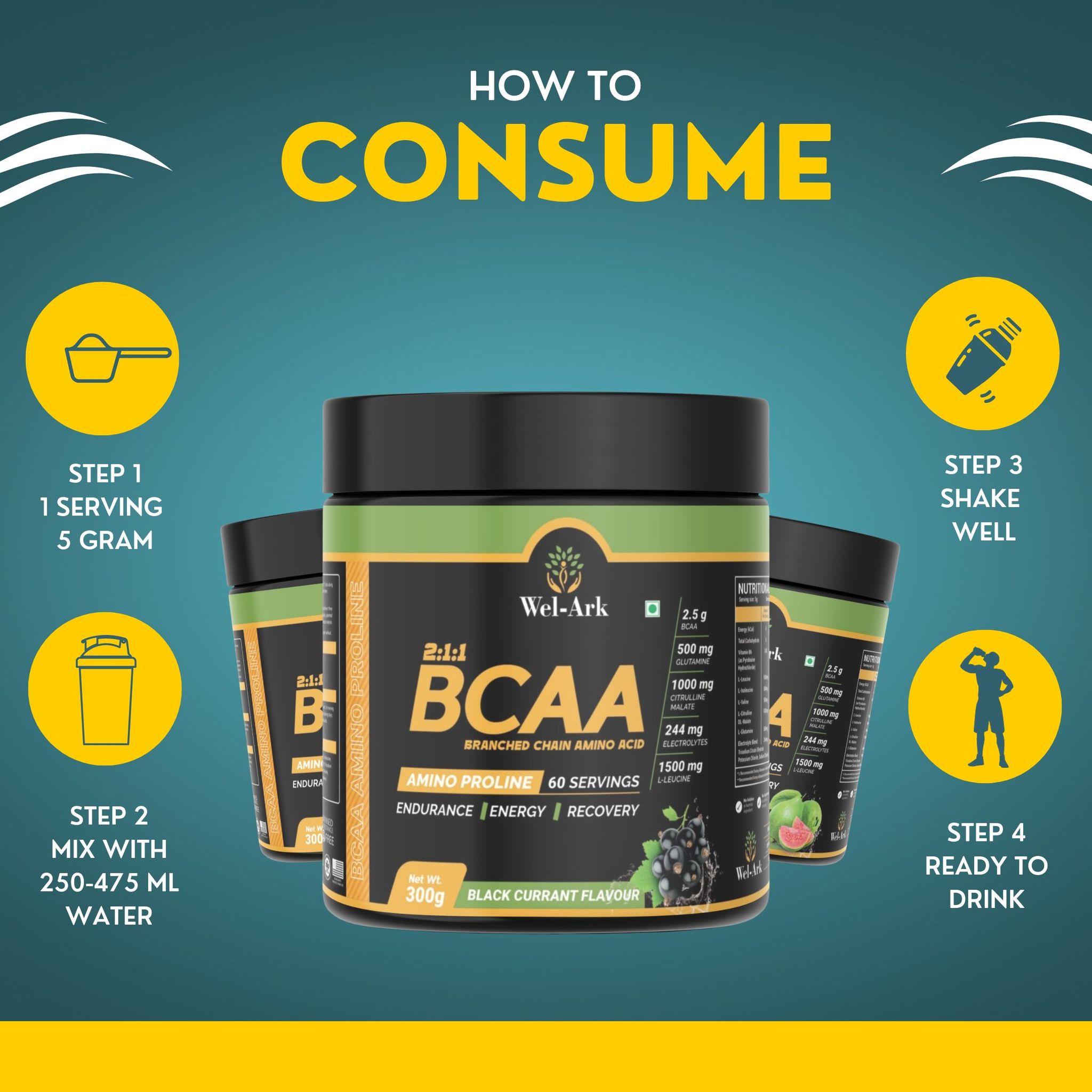 Wel-ark BCAA 2:1:1 Amino Proline | L-Leucine | L-Isoleucine | L-Valine (300 Gram) 60 Scoop (Black Currant Flavour)