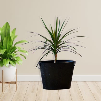 Kezevel Decorative Metal Planter - Dark Brown Indoor Planters with Embossed Floral Design, Bucket Shaped Flower Pot Home Decor, Size 37.7X26.5X26.5 CM