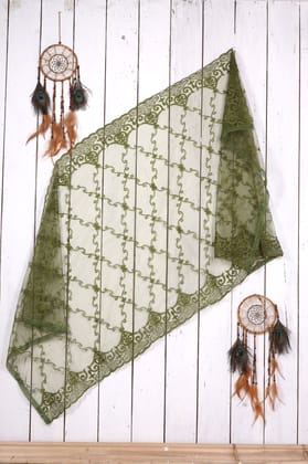 Women Net Embroidered  Dupatta (Color :- Mehndi)