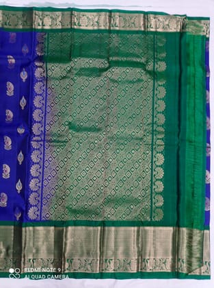 Self Design  Pure silk Soft  (Green, Blue)