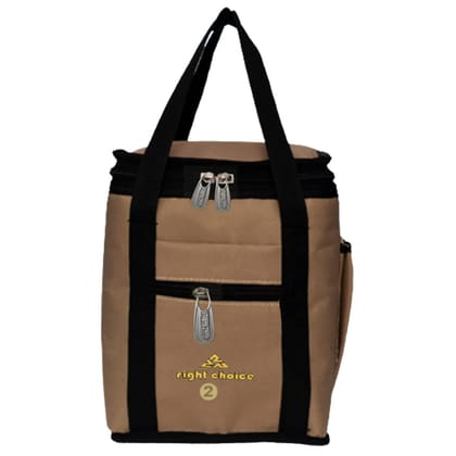 Right Choice Lunch Bag School College Office Tiffin Carry Bag