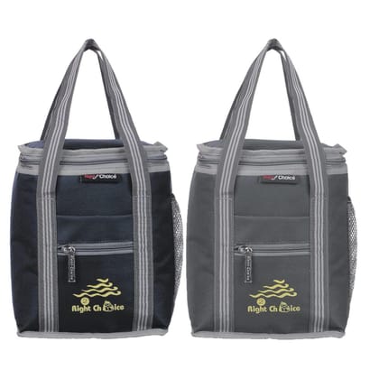 RIGHT CHOICE Polyester Carry on Lunch/Tiffin Bags Combo School Office & Picnic Bag for All Age