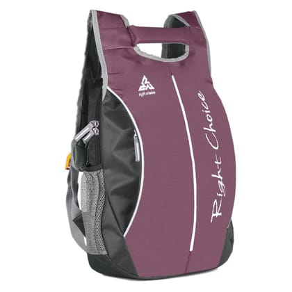 Right Choice 21 Ltrs 40 cms Backpack