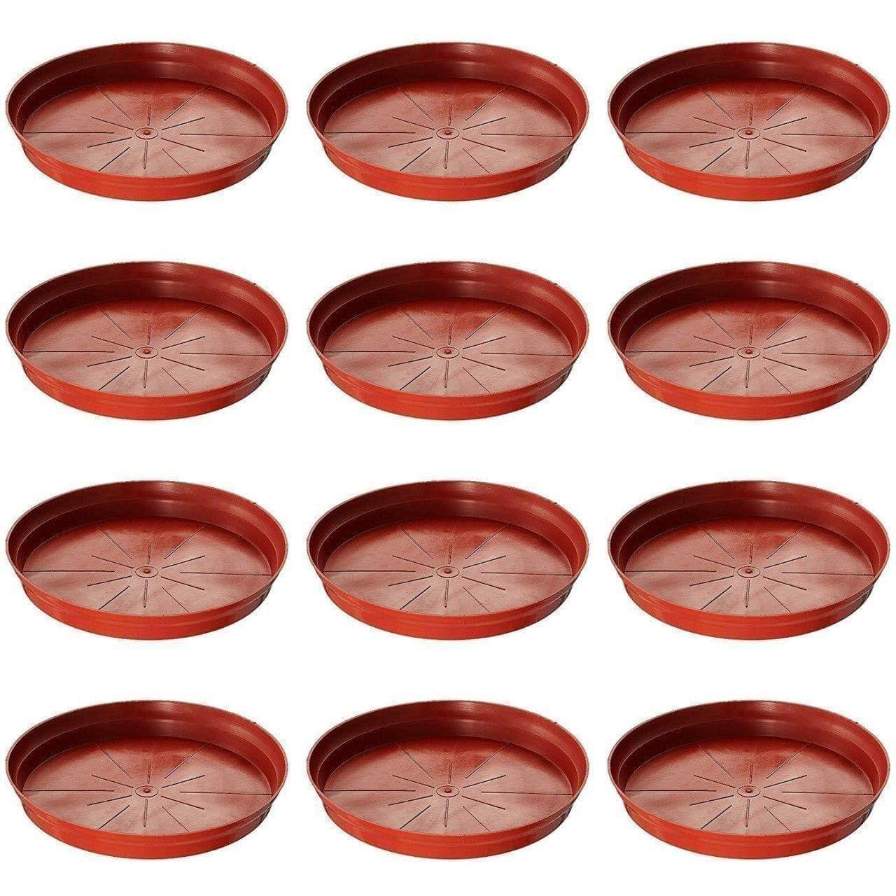 Set of 12 - 10 Inch Red Plastic Plate