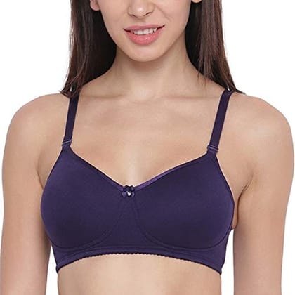 Enamor A025 Long Lasting T-Shirt Bra - Non-Padded Wirefree High Coverage - Voila