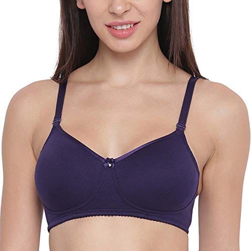 Enamor A025 Long Lasting T-Shirt Bra - Non-Padded Wirefree High Coverage - Voila