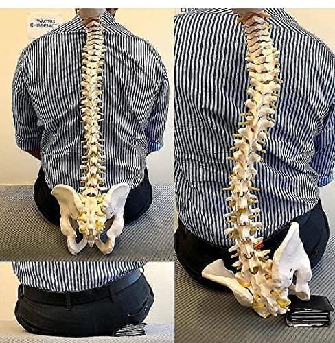 Walletsnbags Beige Men's Wallet