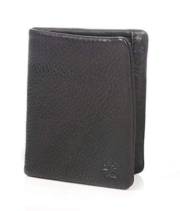 Walletsnbags Aster Men's Leather Wallet (Black)