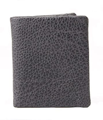 Walletsnbags Aster Leather Men's Wallets (Grey)