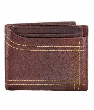 Walletsnbags Men's Leather Wallet (Brown)