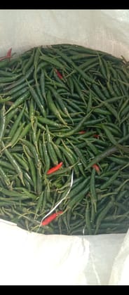 Green Chilli 1 kg
