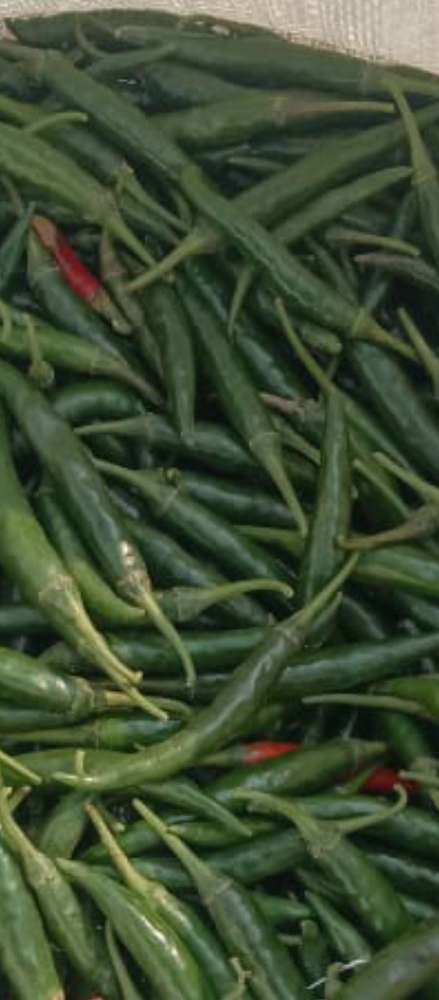 Green Chilli 1 kg
