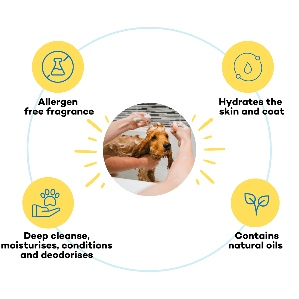 The Good Paws Awesome Pawsome 4 in 1 Dog Shampoo and Conditioner I Moisturizer, Cleanser & Deodorizer | All Natural I For Cocker Spaniel, German Shepherd, Husky, Labrador | Olive & Wheatgerm Oil | 250 ml