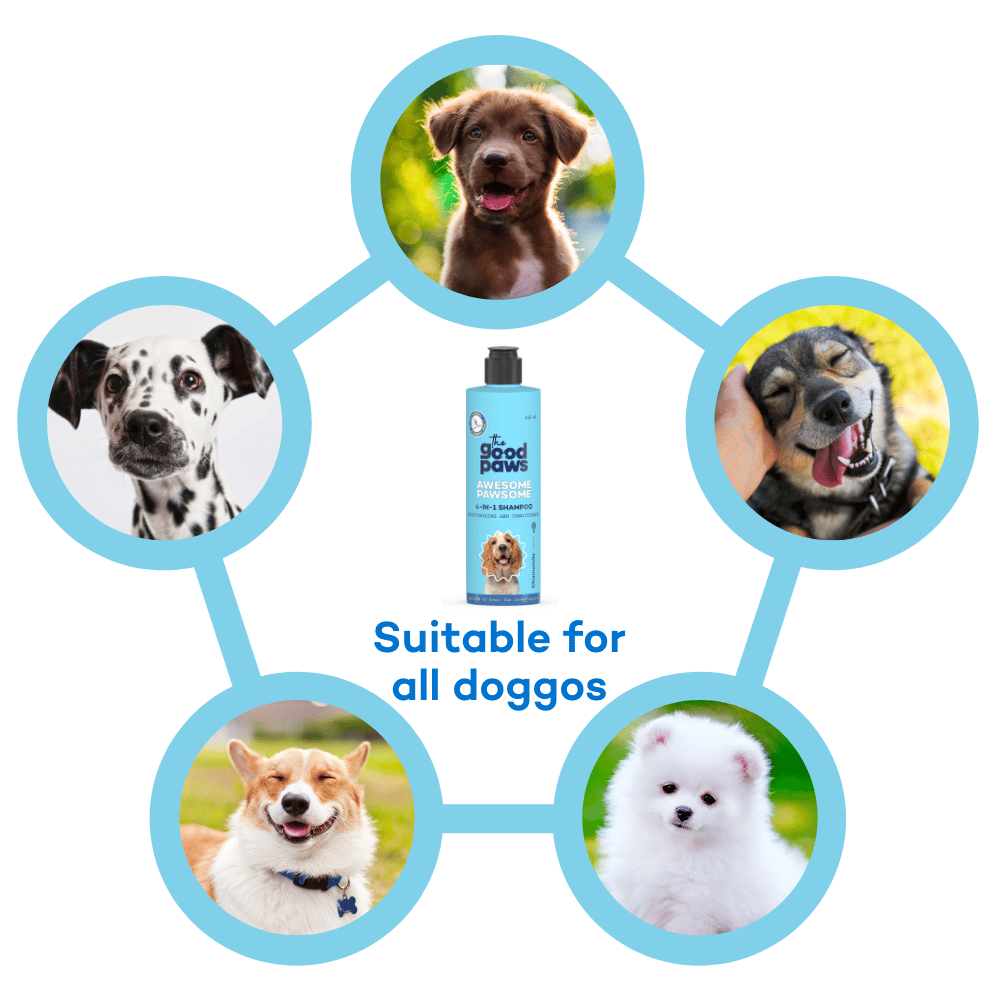 The Good Paws Awesome Pawsome 4 in 1 Dog Shampoo and Conditioner I Moisturizer, Cleanser & Deodorizer | All Natural I For Cocker Spaniel, German Shepherd, Husky, Labrador | Olive & Wheatgerm Oil | 250 ml