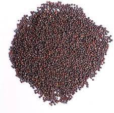 Mustard Seed (Black)