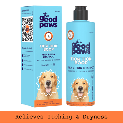 The Good Paws Tick Tick Boop | Flea & Tick Dog Shampoo | Relieves Itching & Dryness | All Natural | Made Safe I for Labrador, Golden Retriever I Itch Relief | Eucalyptus & Lemongrass Oil | 250 ml