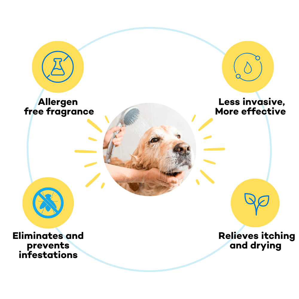 The Good Paws Tick Tick Boop | Flea & Tick Dog Shampoo | Relieves Itching & Dryness | All Natural | Made Safe I for Labrador, Golden Retriever I Itch Relief | Eucalyptus & Lemongrass Oil | 250 ml