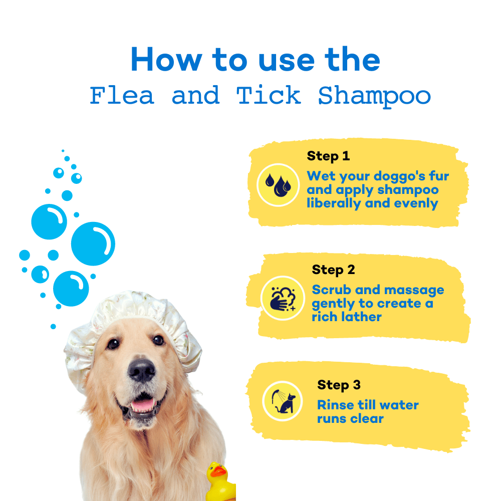 The Good Paws Tick Tick Boop | Flea & Tick Dog Shampoo | Relieves Itching & Dryness | All Natural | Made Safe I for Labrador, Golden Retriever I Itch Relief | Eucalyptus & Lemongrass Oil | 250 ml